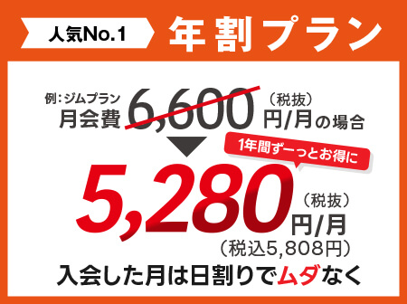 【一番人気】年割なら月会費が1年間ずっと20％OFF！