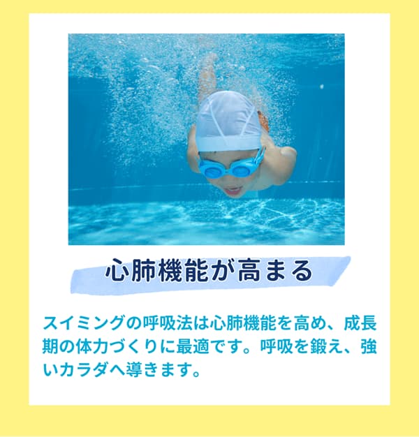 心肺機能が高まる