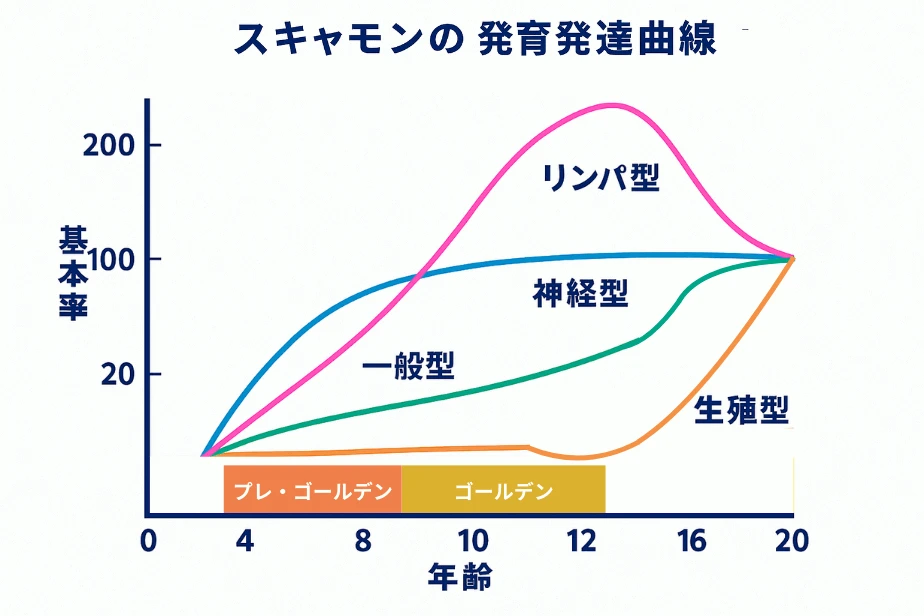 スキャモンの発育発達曲線