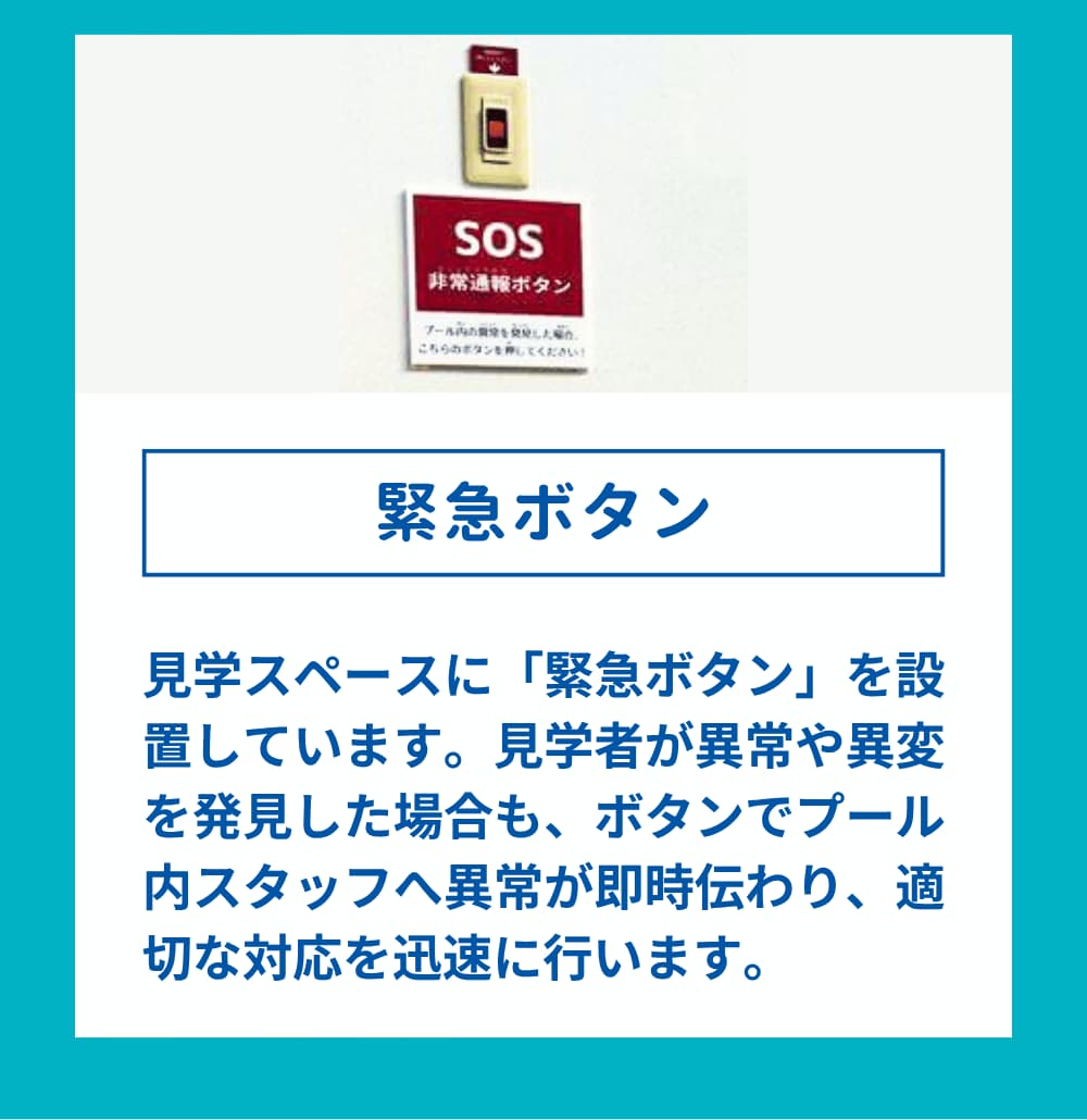 見学スペースに「緊急ボタン」を設置しています。見学者が異常や異変を発見した場合も、ボタンでプール内スタッフへ異常が即時伝わり、適切な対応を迅速に行います。