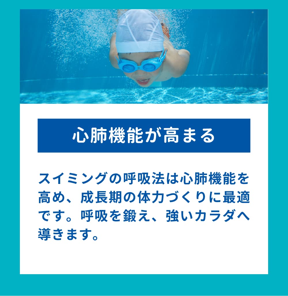 スイミングの呼吸法は心肺機能を高め、成長期の体力づくりに最適です。呼吸を鍛え、強いカラダへ導きます。