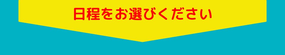 日程等をお選びください