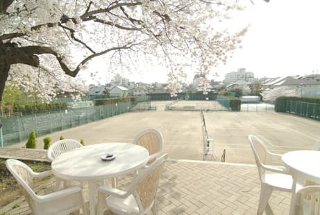 d田園テニス倶楽部