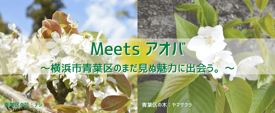 Meets アオバ