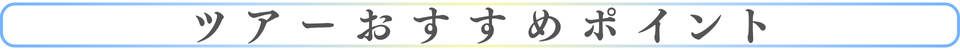 ツアーおすすめポイント