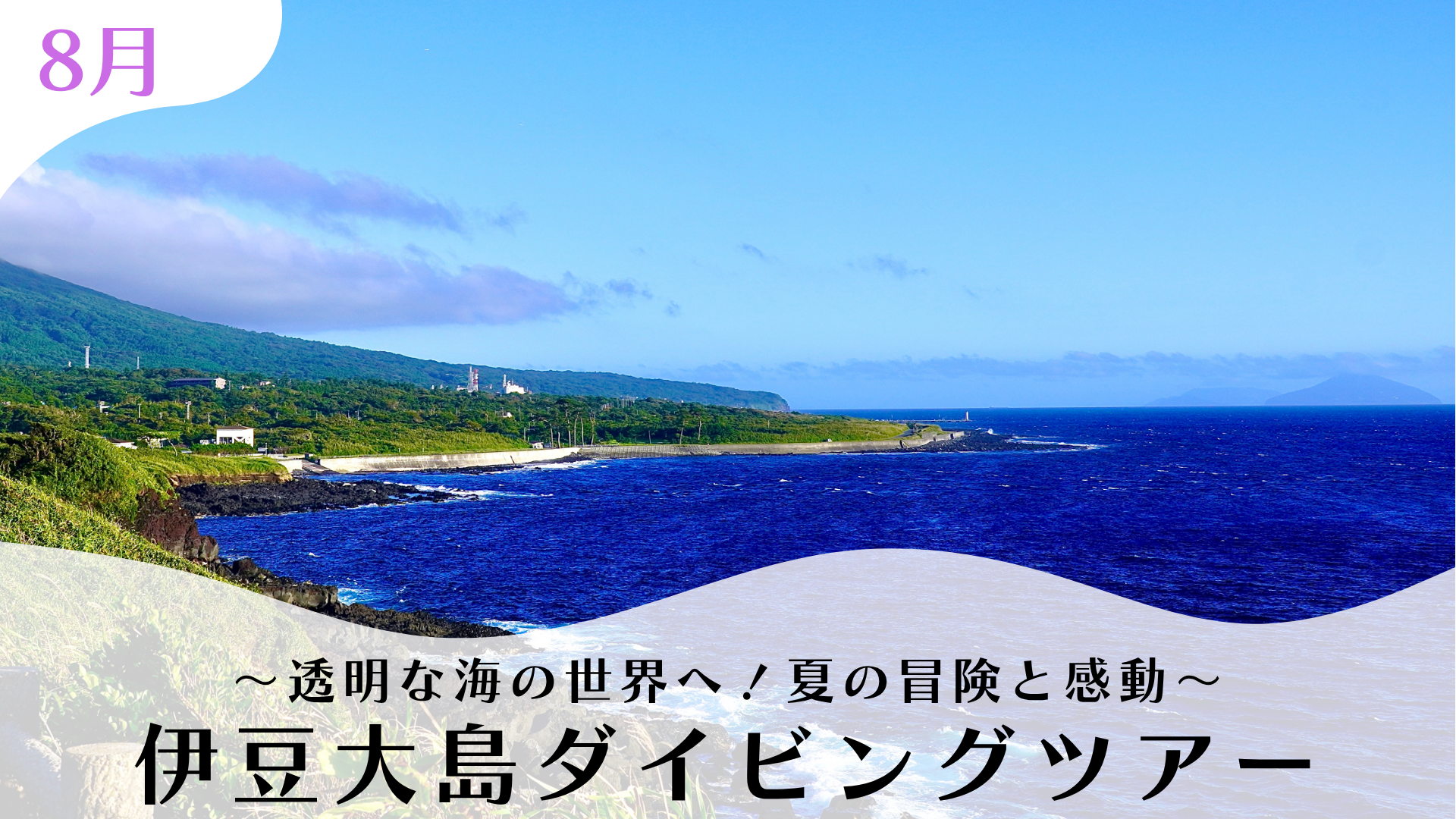 ～透明な海の世界へ！夏の冒険と感動～ 伊豆大島ダイビングツアー