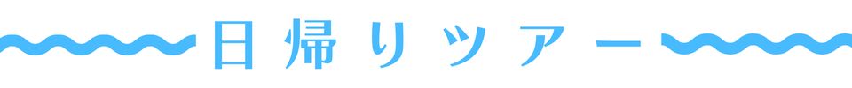 日帰りツアー