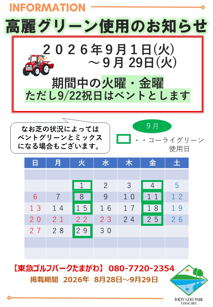 高麗グリーン