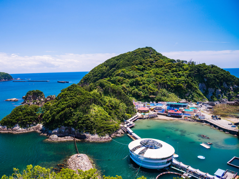 ★水族館バックヤードツアー