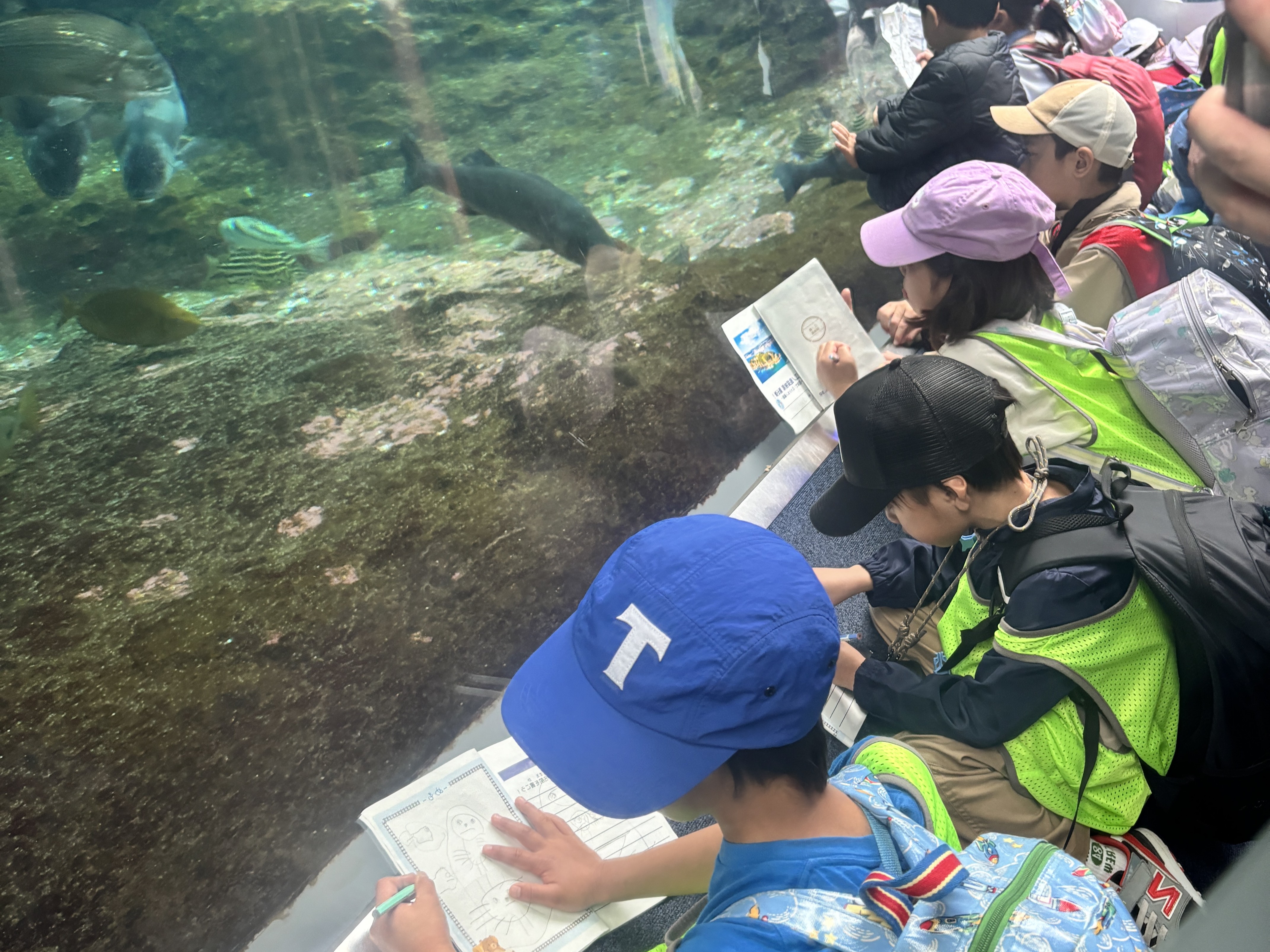 ★『遊びながら学べる』水族館見学！