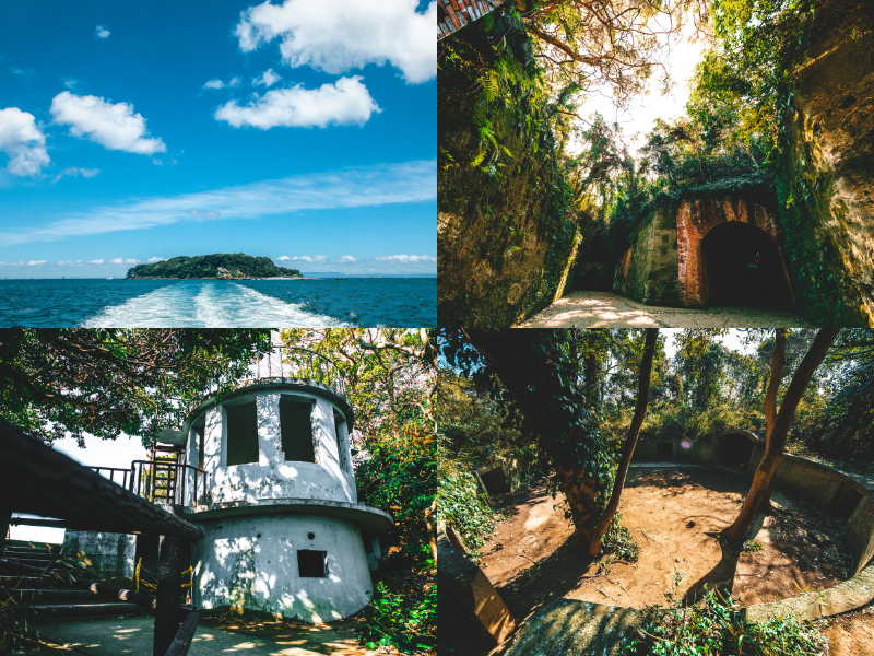 ★横須賀の自然・文化にふれる１日